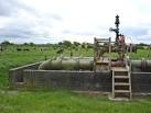 chamber and dairy cattle - via Daymix