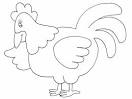 Chicken coloring page