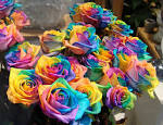 Rainbow Roses Are Extra Special Flowers For The Extra Special ...