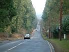 Wellingtonia Avenue - via Daymix