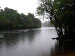 ATPM 13.07 - Desktop Pictures: Crowders Mountain - Black River II