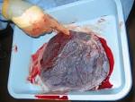 File:Human <b>placenta</b> baby side.