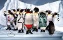 Farce of the Penguins