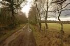 Track in Bog of Shannon Wood. Part of Rosehaugh Estate - via Daymix