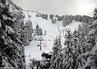 Stevens Pass avalanche: Three dead and eight missing | Mail Online
