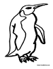 Antarctica coloring page