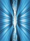 The <b>genes</b> are also implicated