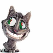 images?q=tbn:ANd9GcQhwevG73gv_O-Rk84qMPaUVHShgLDXJpzd8x1DZ9OvrLtgEaPV4jrxvreY