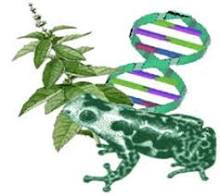 Hist&oacute;ria da Biologia - Brasil Escola