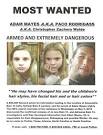 Missing Persons | Scared Monkeys