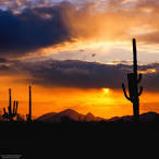 Sunset, Sonoran Desert, Arizona | James Cowlin Photographs