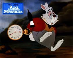 images?q=tbn:ANd9GcQjAYlhOQyNAQWPeCbt8pYSZfs83HO3GujSkjAILXl89wqBG