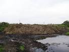 NS3452 : Manure Heap - via Daymix