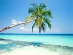 http://www.sunandskihomes.co.uk/images/caribbean%2520beach1.jpg