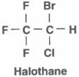 <b>halothane</b>