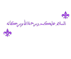 انيقات