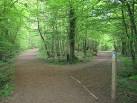 Saxon Shore Way and Greensand - via Daymix