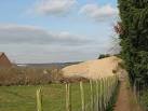 of aggregate shown here) as a result of the construction activities. - via Daymix