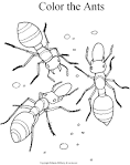 Insect coloring page