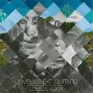 Cymbals Eat Guitars – “Definite Darkness” - Stereogum