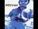 I am a Danfan, aka a Steely Dan Fan. And I am an Asshole - Worldnews.