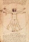 THE VITRUVIAN MAN