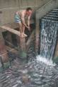 The Incredible Art Of JULIAN BEEVER!