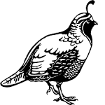2 مطلب