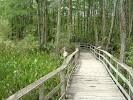 Corkscrew Swamp Sanctuary