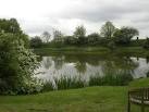 Fish pond, Docking Angling - via Daymix