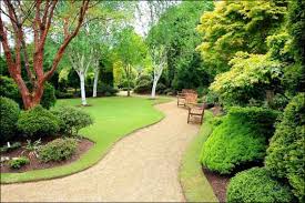 اجمل الحدائق المنزلية ...من اختياري و تجميعي Images?q=tbn:ANd9GcQk_0EggVRUb0rDAgUkTDyVwn5zWRHdBxn-YNu_Uc2UlGmrl2RZCQ