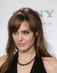 Angelina Jolie cropped