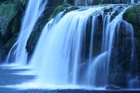 http://t2.gstatic.com/images?q=tbn:ANd9GcQks2ZyLJEN3xKW_UkAZQvMbCstag2gm1Sabnsojz1z2rE4Kohr