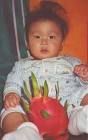 pitahaya will cross pollenate