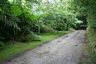 This bridleway is also a farm access road and ornamental plants and shrubs - via Daymix