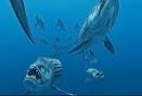 sea monsters