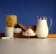 Kid's Corner - Facts About Dairy Products