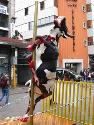 images?q=tbn:ANd9GcQm-L0saWqrVk4LiexjfXKj27DRY_BvKPp9uiwkeUblPM8XjmqWYU458xca