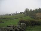 More sizes. Broom Hill Farm in - via Daymix