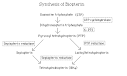 [<b>Biopterin</b> synthesis pathway