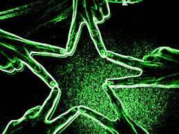 green_hand_star.jpg Photo by princess16_01 | Photobucket - green_hand_star