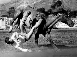 Fun & Info @ Keralites.net