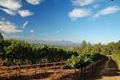 Our list of top 4 wineries in - via Daymix