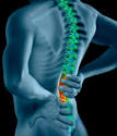 Chiropractic Wellness Program