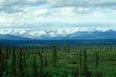 taiga pronunciation