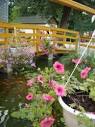 Nyiregyhaza Photos - Featured Images of Nyiregyhaza, Szabolcs ...