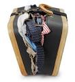 Purchase baggage travel insurance