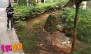 STOMP - Singapore Seen - Man dies after parang clash involving 20 ...