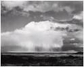 Edward WESTON