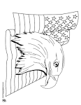 Eagle coloring page